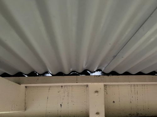 IMG_0157.jpeg IMG_0157.jpeg