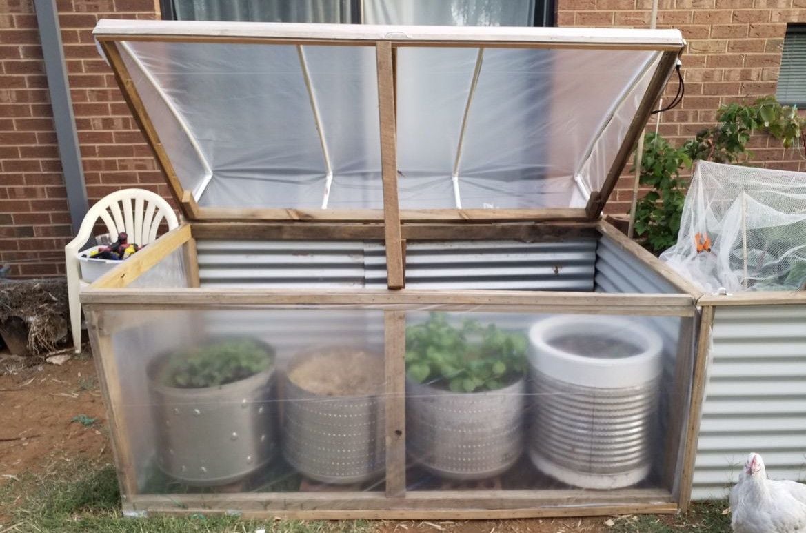 cold_frame20200502_170749.jpg cold_frame20200502_170749.jpg