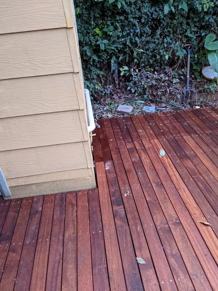 PXL_20210708_064829034.jpg PXL_20210708_064829034.jpg