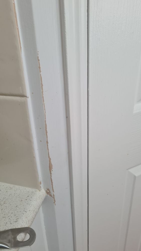 20240409_104306.jpg 20240409_104306.jpg