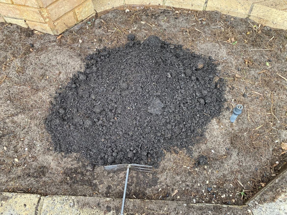 IMG_0750.jpeg IMG_0750.jpeg