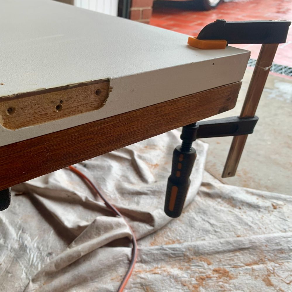 IMG_3146.jpeg IMG_3146.jpeg