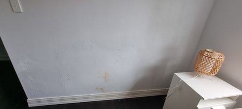 1000028594.jpg 1000028594.jpg