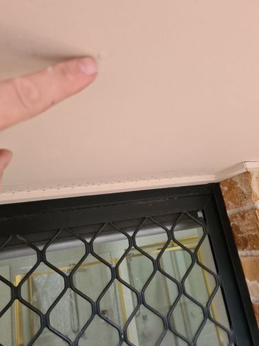 20220806_160206.jpg 20220806_160206.jpg