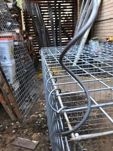 41 17-06-2024.jpg 41 17-06-2024.jpg