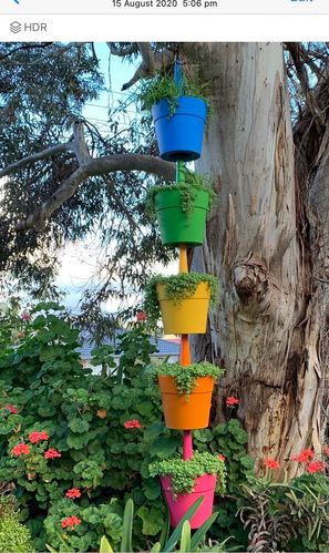 20886B7D-30D0-47ED-97C2-A2E55CB9BE5F.jpeg 20886B7D-30D0-47ED-97C2-A2E55CB9BE5F.jpeg