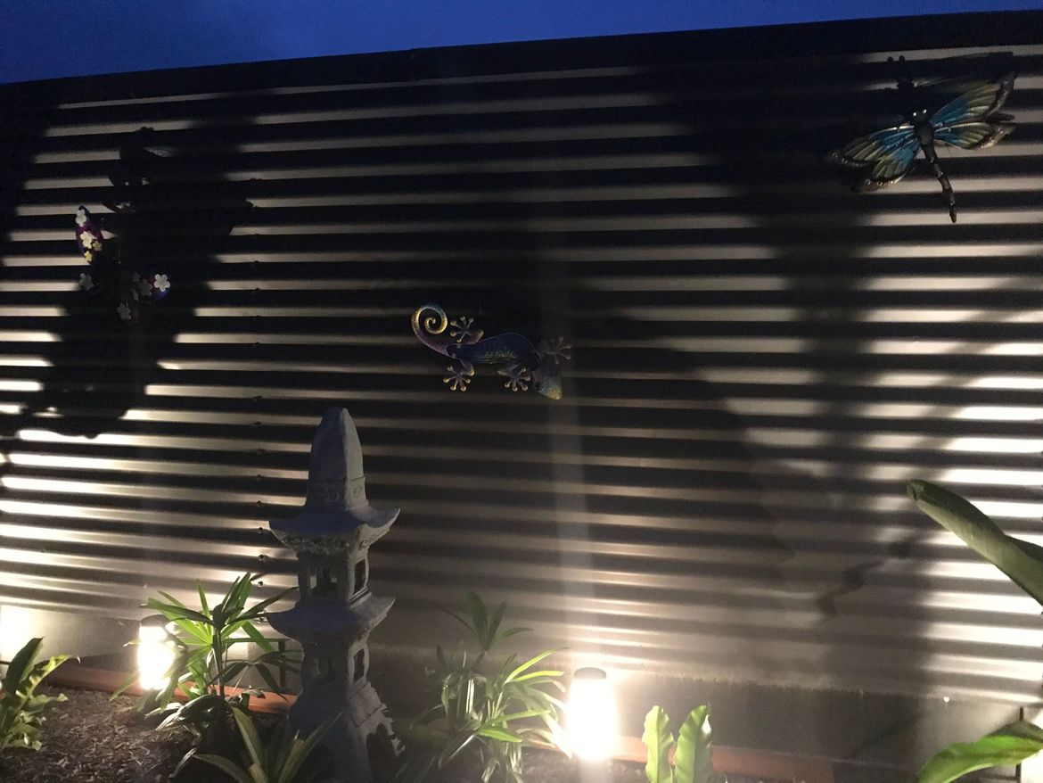 42DC759A-1960-4731-B0BF-0DA2EC40498D.jpeg 42DC759A-1960-4731-B0BF-0DA2EC40498D.jpeg