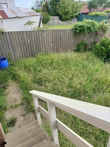 IMG_0092.jpeg IMG_0092.jpeg