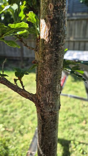 1000017881.jpg 1000017881.jpg