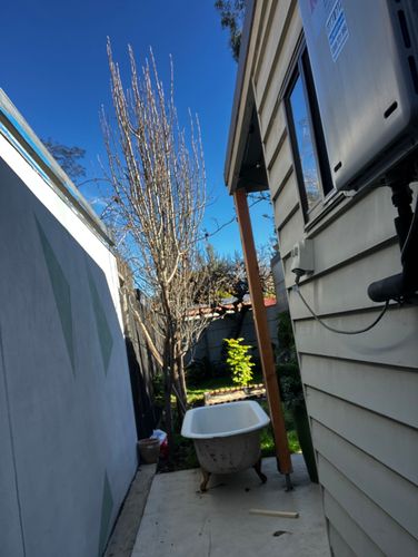 IMG_1063.jpeg IMG_1063.jpeg