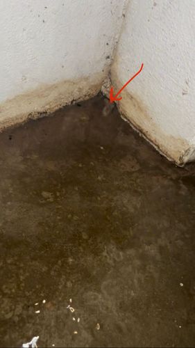 BD9A93B4-4AD4-49FE-BE92-CB348C3D1265.jpeg BD9A93B4-4AD4-49FE-BE92-CB348C3D1265.jpeg