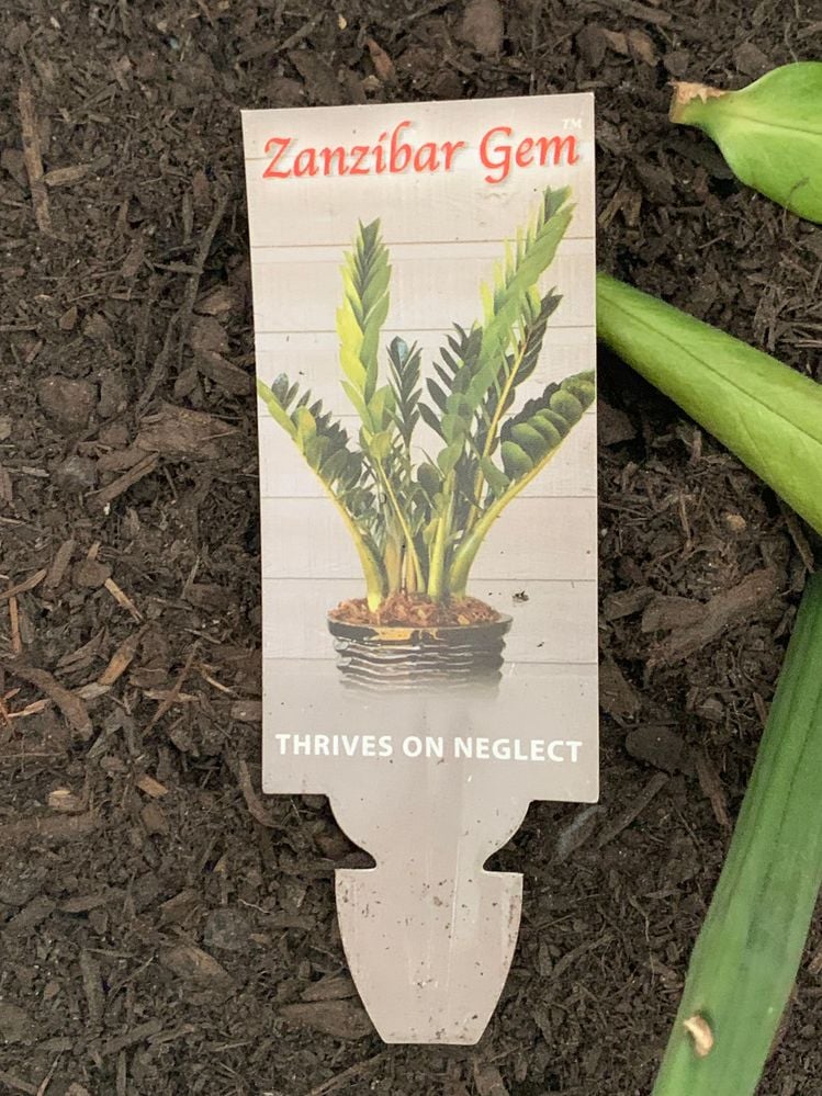 IMG_1998.jpg IMG_1998.jpg