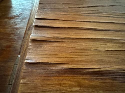 IMG_0645.jpeg IMG_0645.jpeg