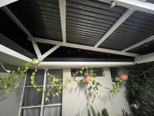 IMG_6715.jpeg IMG_6715.jpeg