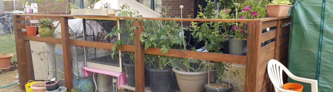 rattle plant fencing.png rattle plant fencing.png