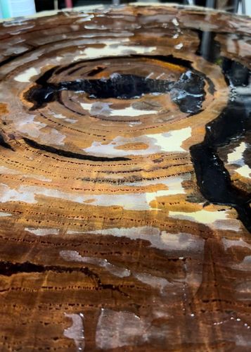 IMG_4483.jpeg IMG_4483.jpeg