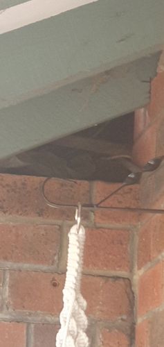 20230730_134849.jpg 20230730_134849.jpg