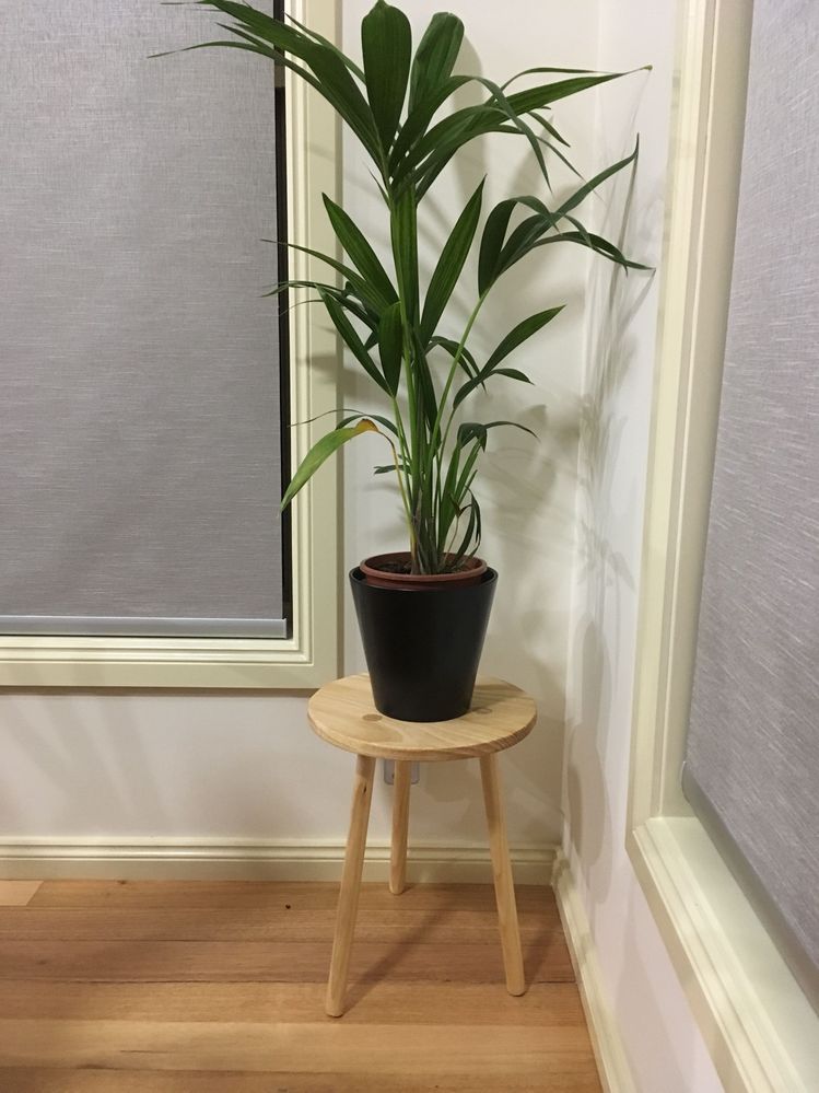 56AED694-5006-4A20-AFC6-41EDAE30BE68.jpeg 56AED694-5006-4A20-AFC6-41EDAE30BE68.jpeg