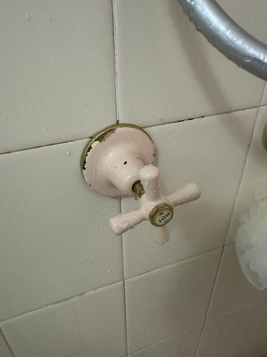 IMG_9086.jpeg IMG_9086.jpeg