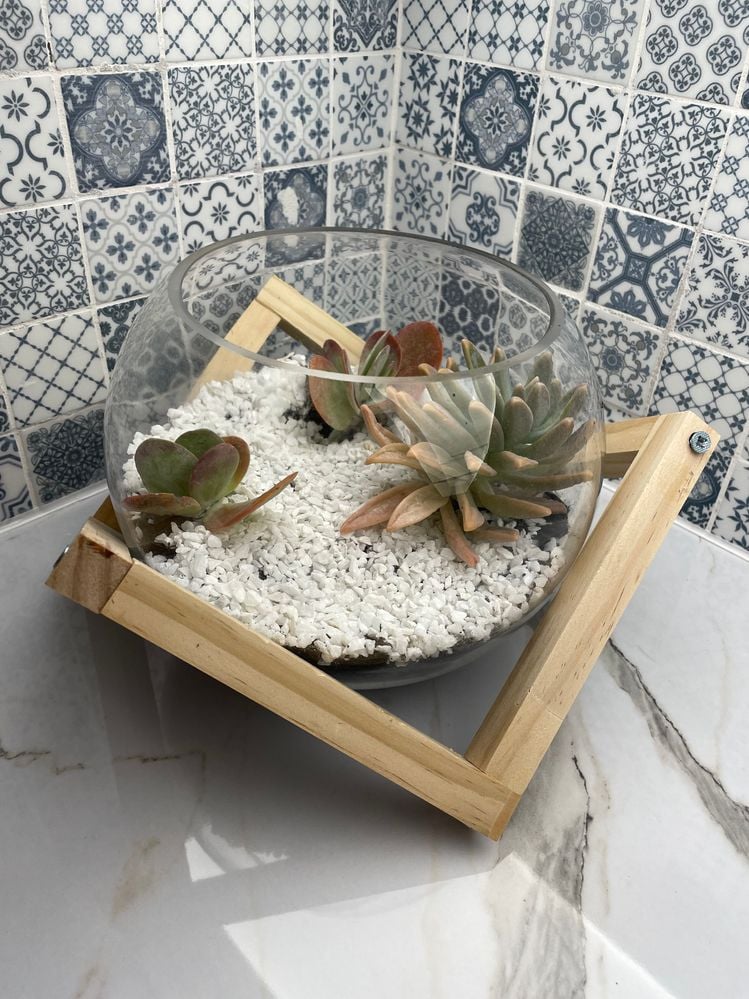 IMG-1065.jpg IMG-1065.jpg