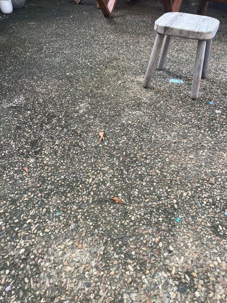 IMG_4568.jpeg IMG_4568.jpeg