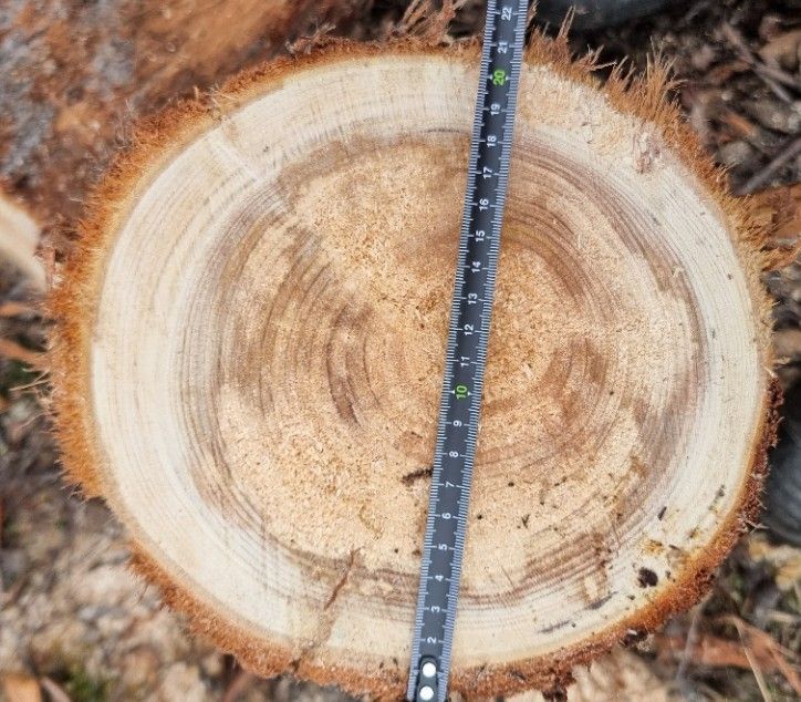 20251109_115724.jpg 20251109_115724.jpg