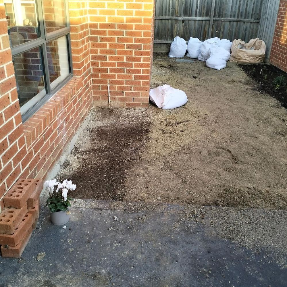 Digging out the garden bed part 2.jpg Digging out the garden bed part 2.jpg