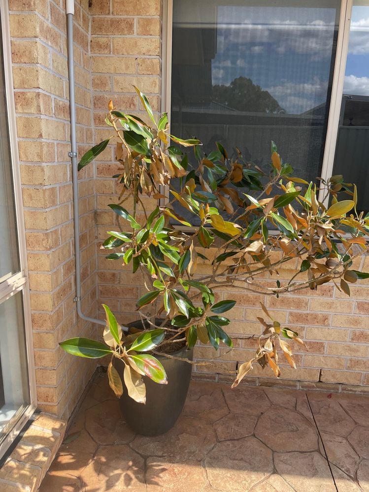 IMG_9068.jpg IMG_9068.jpg