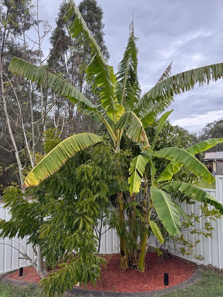 image4.jpeg image4.jpeg