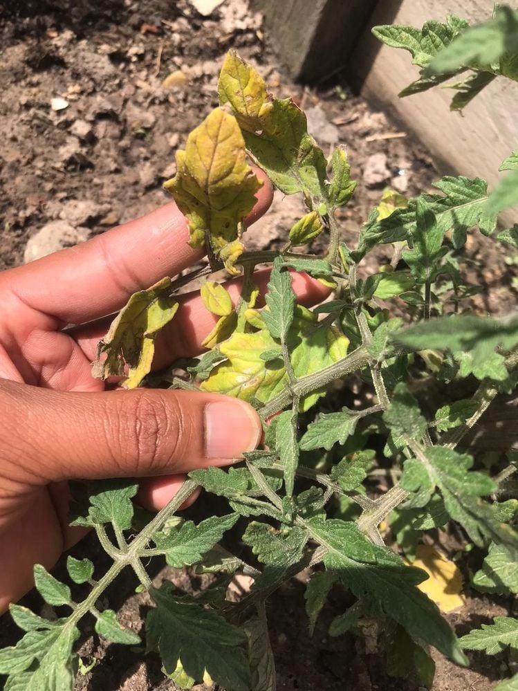 1c81ffe4-1126-4eaa-9f4c-7c772002843c.jpg 1c81ffe4-1126-4eaa-9f4c-7c772002843c.jpg