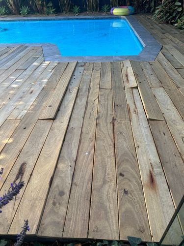 IMG_6340.jpeg IMG_6340.jpeg