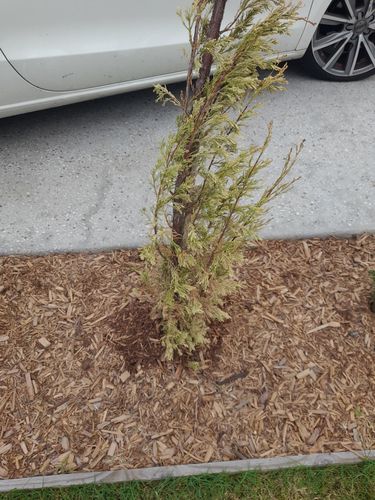 IMG_3858.jpeg IMG_3858.jpeg