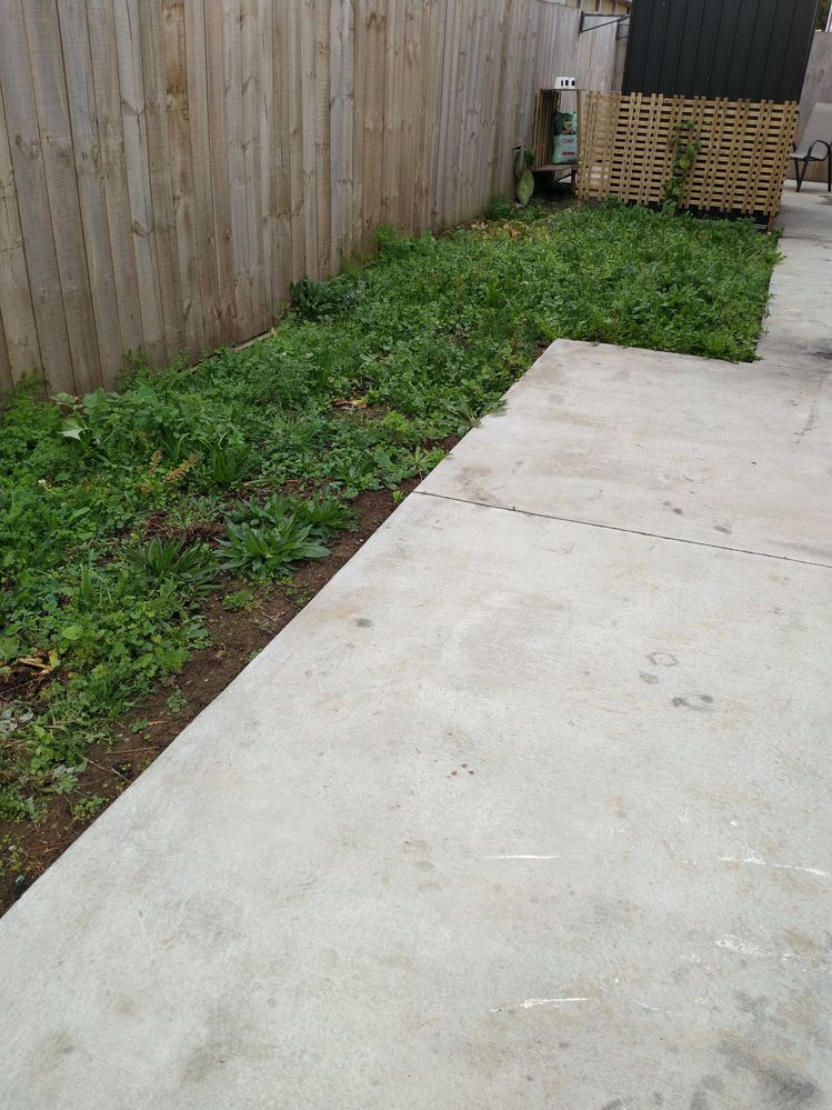 IMG_20220618_090642_01.jpg IMG_20220618_090642_01.jpg