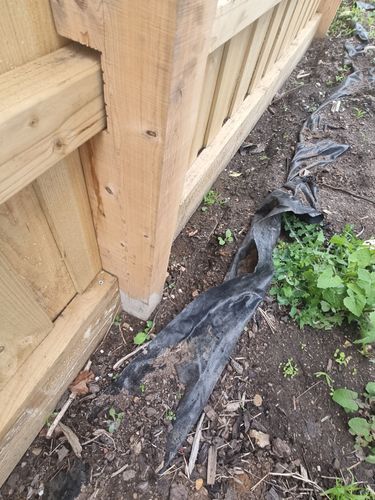 1000063718.jpg 1000063718.jpg