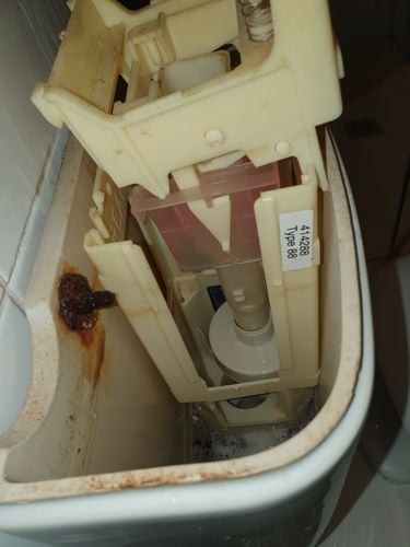 20211116_132437.jpg 20211116_132437.jpg