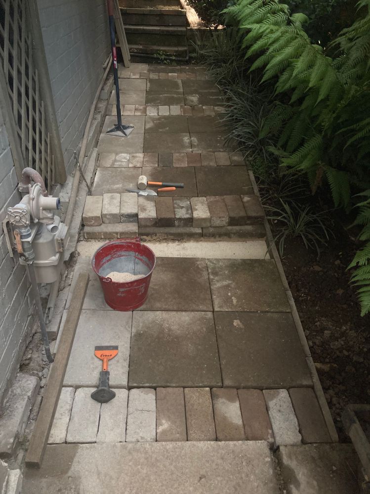 IMG_6787.jpeg IMG_6787.jpeg