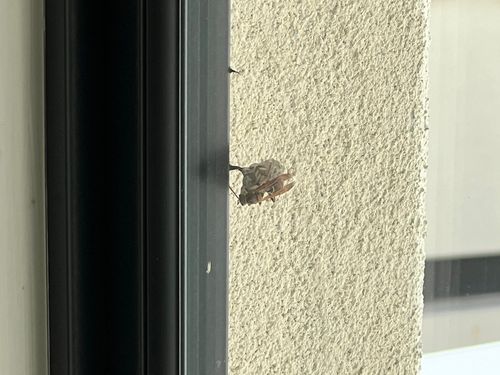 IMG_1169.jpeg IMG_1169.jpeg