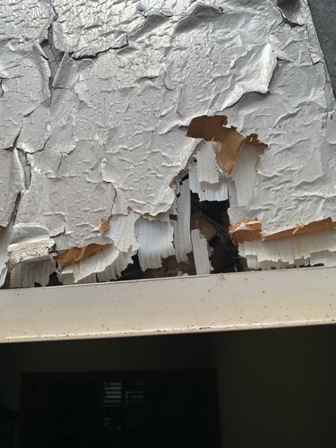 IMG_7058.jpeg IMG_7058.jpeg