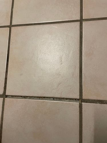 IMG_0522.jpeg IMG_0522.jpeg