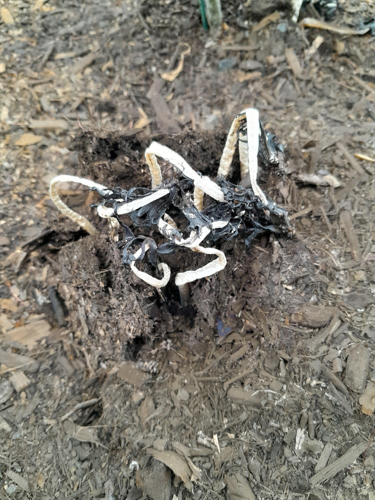 unnamed.jpg unnamed.jpg