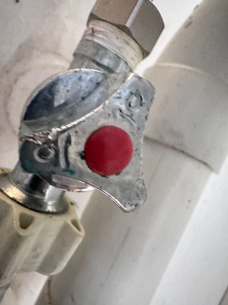 IMG_7596.JPG IMG_7596.JPG