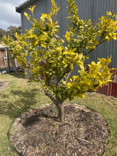 IMG_3371.jpeg IMG_3371.jpeg