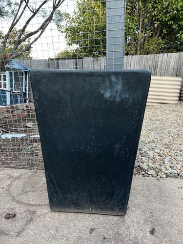 IMG_4435.jpeg IMG_4435.jpeg