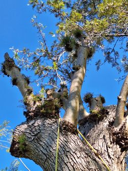 20240916_142411.jpg 20240916_142411.jpg