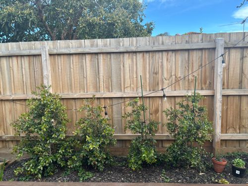 IMG_6042.jpeg IMG_6042.jpeg