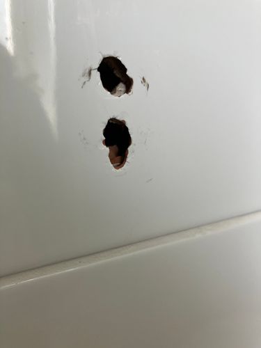 IMG_7688.jpeg IMG_7688.jpeg