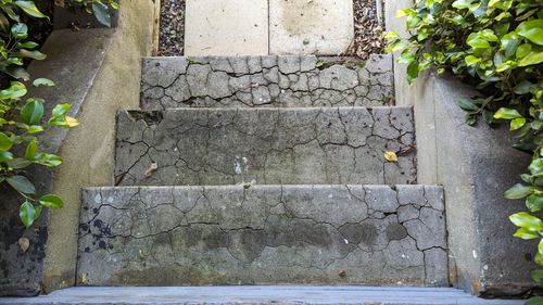 1000030460.jpg 1000030460.jpg