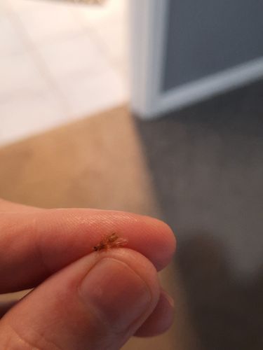 20211101_071106.jpg 20211101_071106.jpg