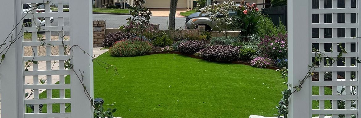 Front yard.jpg Front yard.jpg