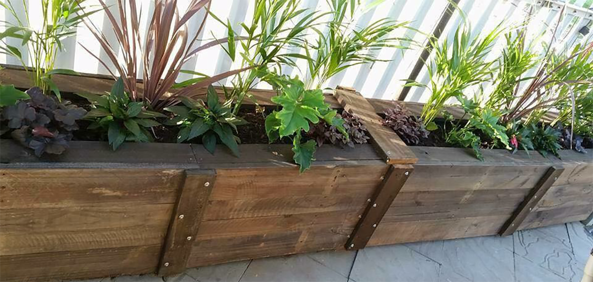 Pallet planter.png Pallet planter.png